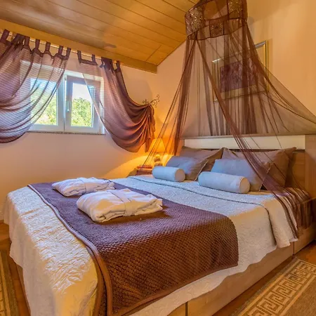 Apartment Branka