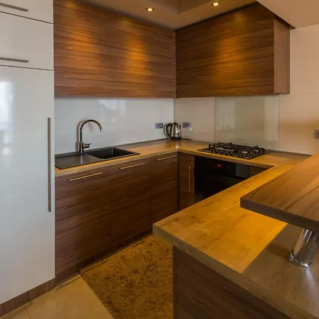 Apartment Branka *
